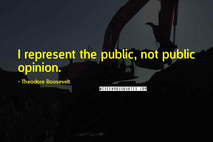 Theodore Roosevelt Quotes: I represent the public, not public opinion.