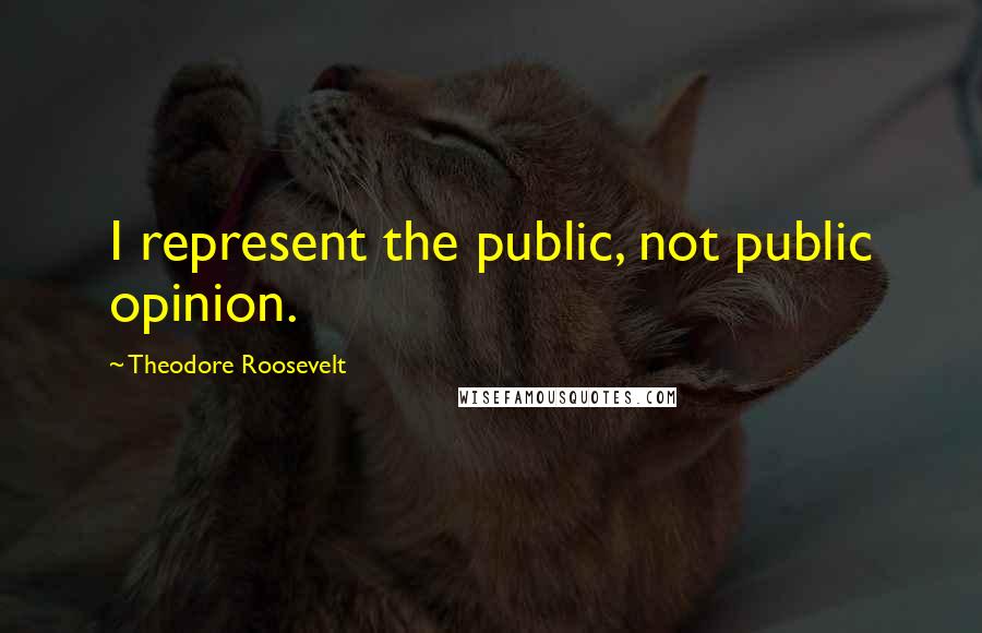 Theodore Roosevelt Quotes: I represent the public, not public opinion.