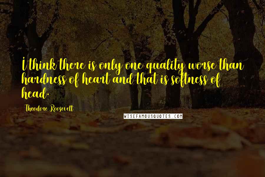 Theodore Roosevelt Quotes: I think there is only one quality worse than hardness of heart and that is softness of head.