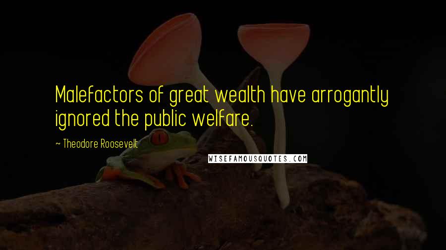Theodore Roosevelt Quotes: Malefactors of great wealth have arrogantly ignored the public welfare.