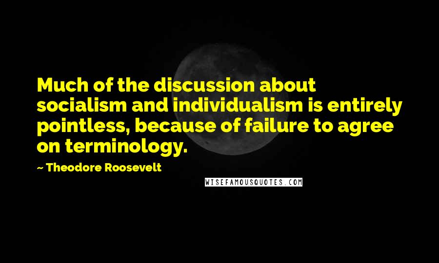 Theodore Roosevelt Quotes: Much of the discussion about socialism and individualism is entirely pointless, because of failure to agree on terminology.