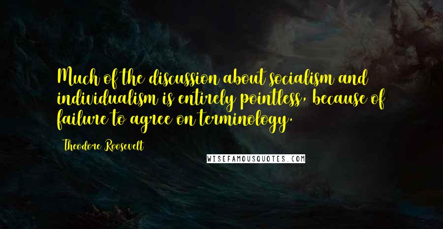 Theodore Roosevelt Quotes: Much of the discussion about socialism and individualism is entirely pointless, because of failure to agree on terminology.