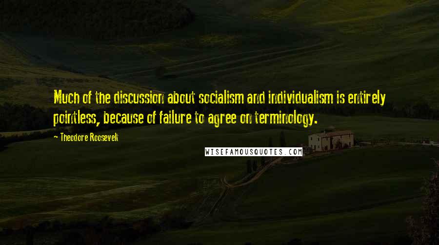 Theodore Roosevelt Quotes: Much of the discussion about socialism and individualism is entirely pointless, because of failure to agree on terminology.