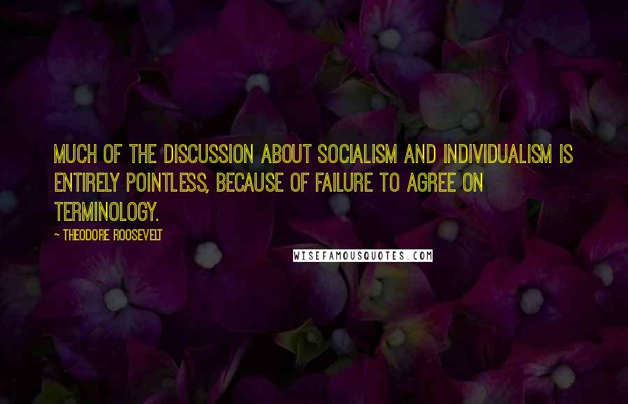 Theodore Roosevelt Quotes: Much of the discussion about socialism and individualism is entirely pointless, because of failure to agree on terminology.