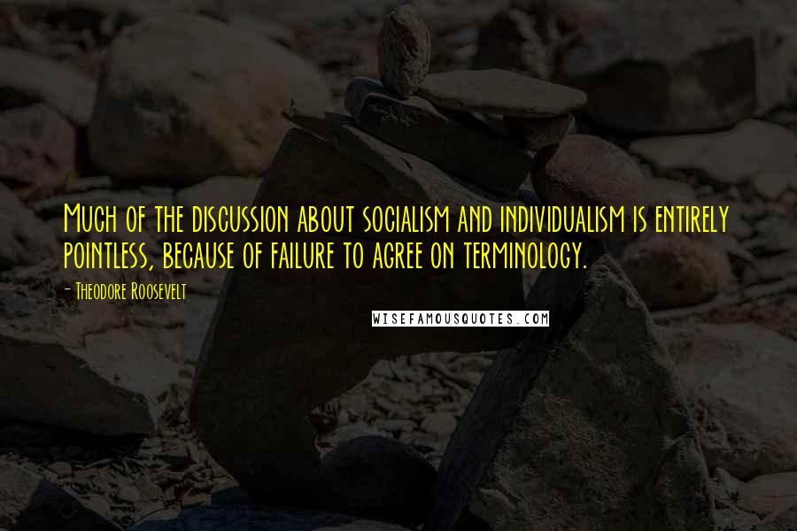 Theodore Roosevelt Quotes: Much of the discussion about socialism and individualism is entirely pointless, because of failure to agree on terminology.