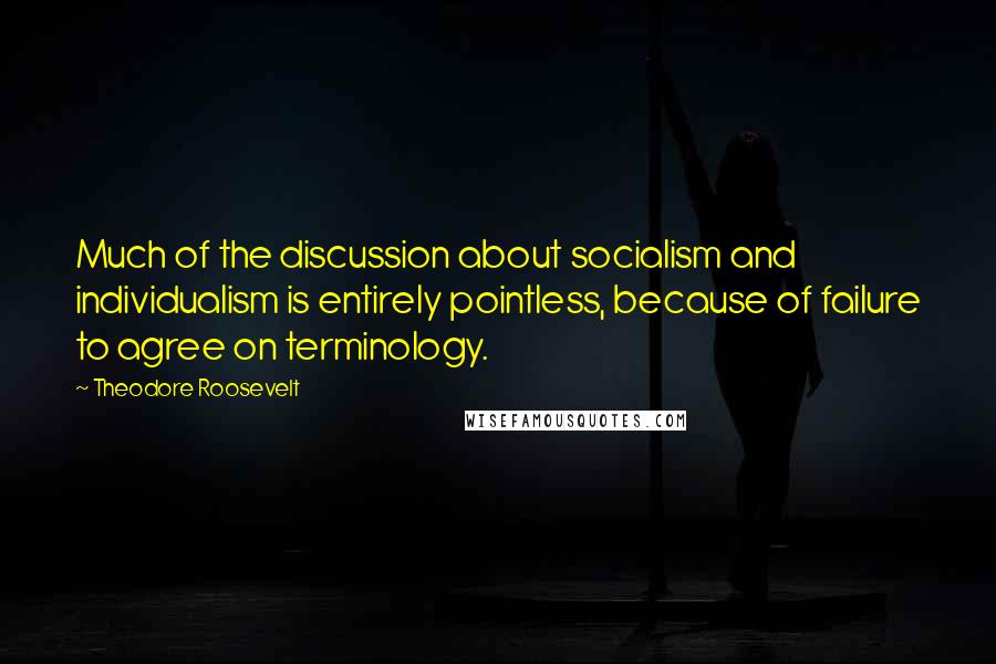 Theodore Roosevelt Quotes: Much of the discussion about socialism and individualism is entirely pointless, because of failure to agree on terminology.