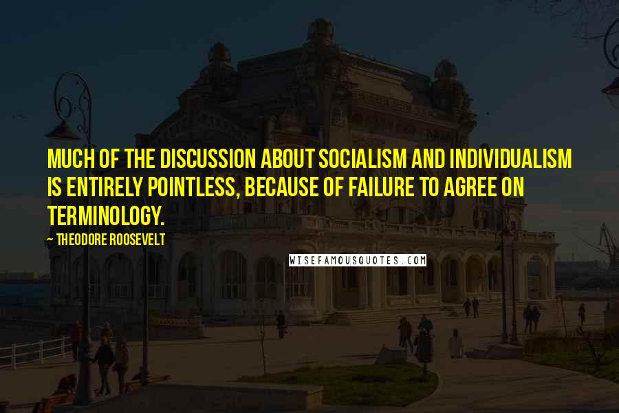 Theodore Roosevelt Quotes: Much of the discussion about socialism and individualism is entirely pointless, because of failure to agree on terminology.