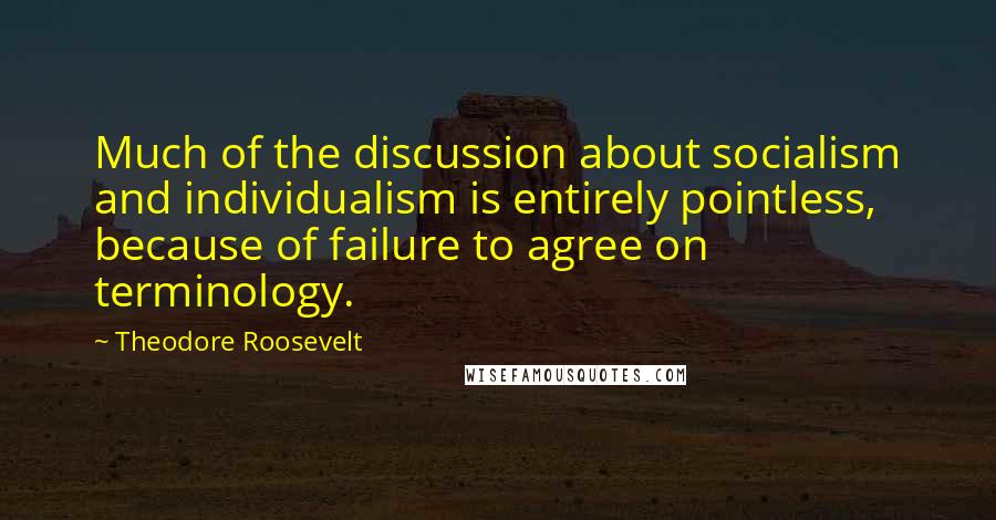 Theodore Roosevelt Quotes: Much of the discussion about socialism and individualism is entirely pointless, because of failure to agree on terminology.