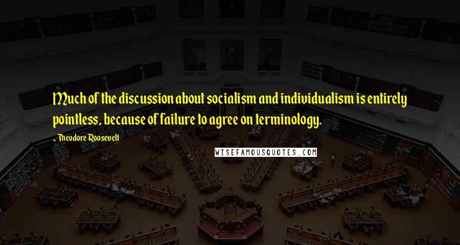 Theodore Roosevelt Quotes: Much of the discussion about socialism and individualism is entirely pointless, because of failure to agree on terminology.