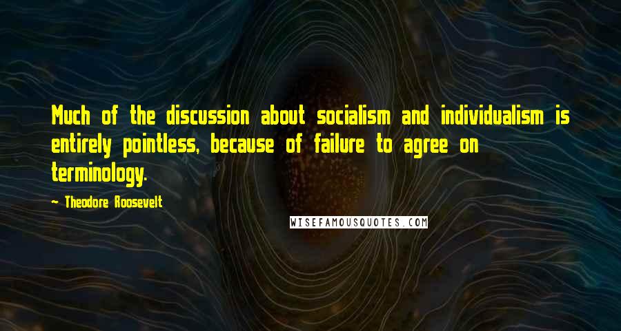 Theodore Roosevelt Quotes: Much of the discussion about socialism and individualism is entirely pointless, because of failure to agree on terminology.