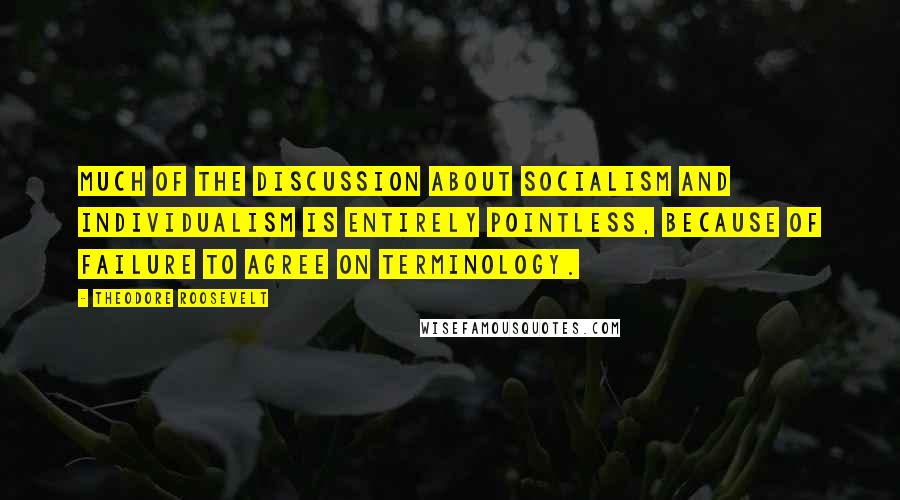 Theodore Roosevelt Quotes: Much of the discussion about socialism and individualism is entirely pointless, because of failure to agree on terminology.