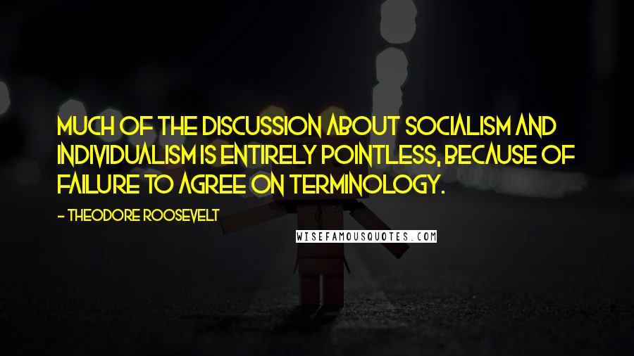 Theodore Roosevelt Quotes: Much of the discussion about socialism and individualism is entirely pointless, because of failure to agree on terminology.