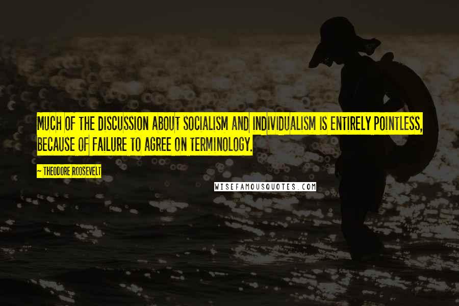 Theodore Roosevelt Quotes: Much of the discussion about socialism and individualism is entirely pointless, because of failure to agree on terminology.