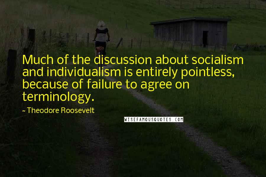 Theodore Roosevelt Quotes: Much of the discussion about socialism and individualism is entirely pointless, because of failure to agree on terminology.