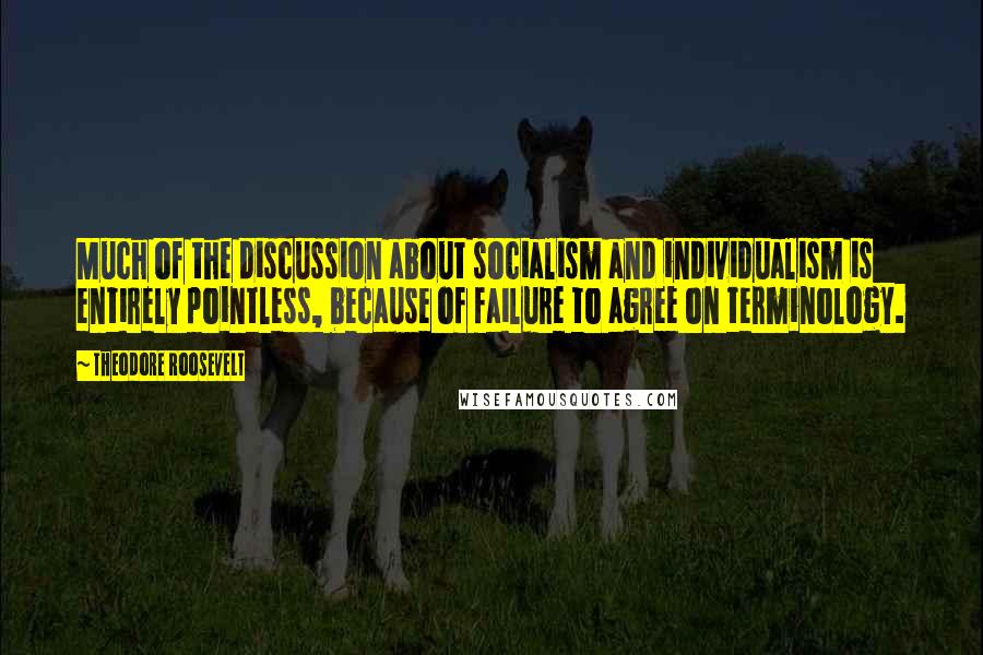 Theodore Roosevelt Quotes: Much of the discussion about socialism and individualism is entirely pointless, because of failure to agree on terminology.