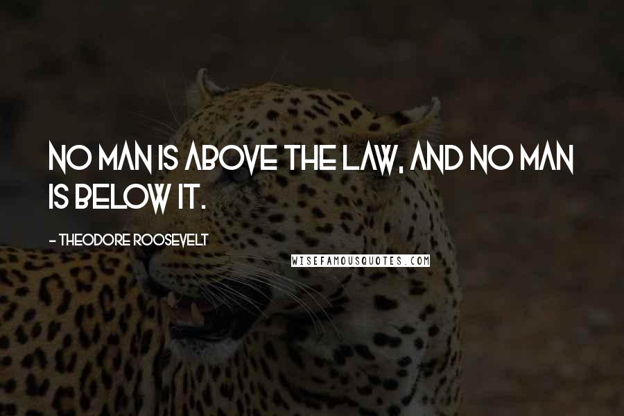 Theodore Roosevelt Quotes: No man is above the law, and no man is below it.