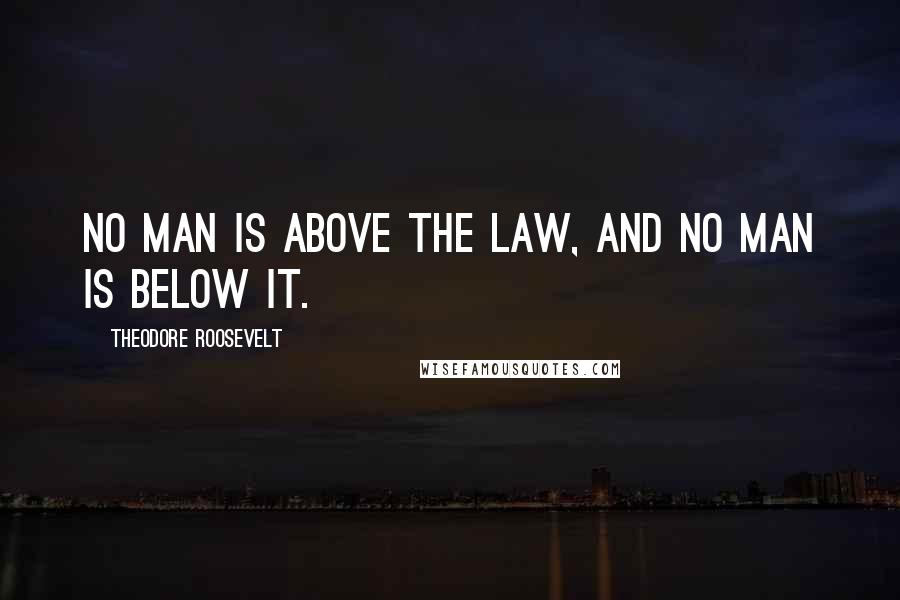 Theodore Roosevelt Quotes: No man is above the law, and no man is below it.