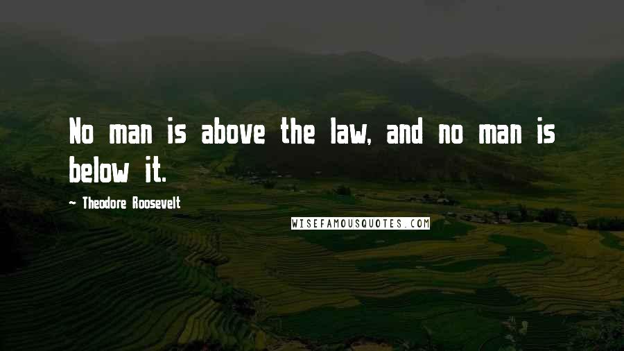 Theodore Roosevelt Quotes: No man is above the law, and no man is below it.
