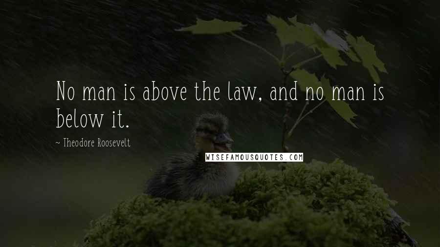 Theodore Roosevelt Quotes: No man is above the law, and no man is below it.