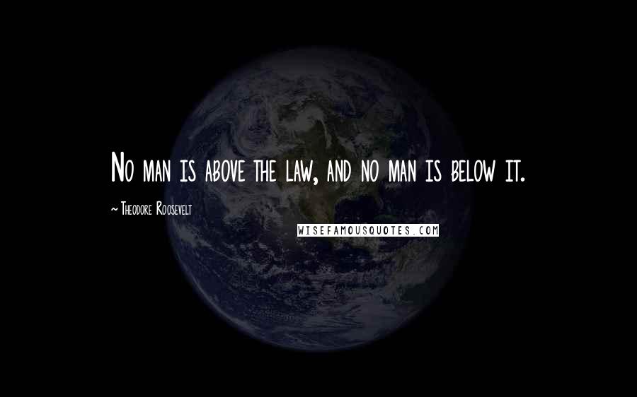 Theodore Roosevelt Quotes: No man is above the law, and no man is below it.
