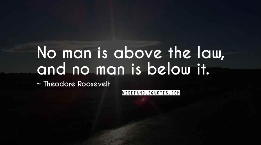 Theodore Roosevelt Quotes: No man is above the law, and no man is below it.