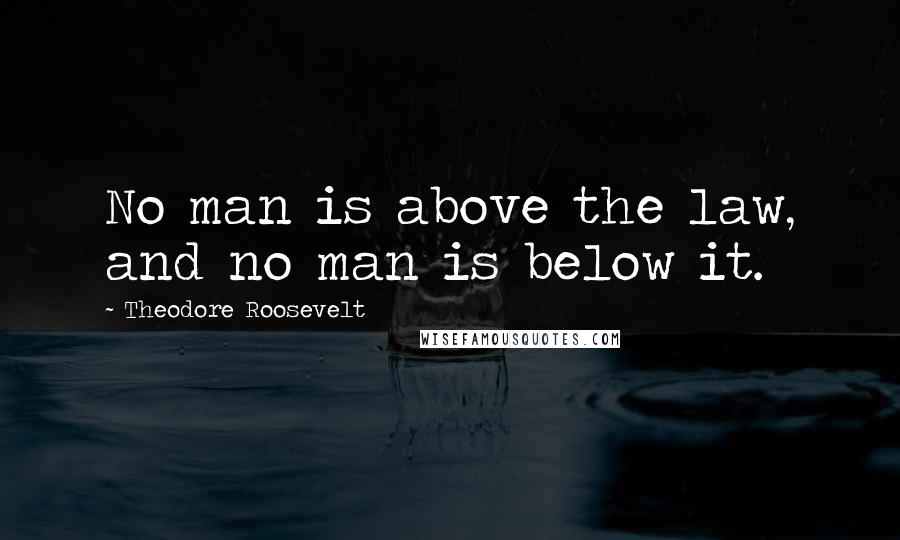 Theodore Roosevelt Quotes: No man is above the law, and no man is below it.
