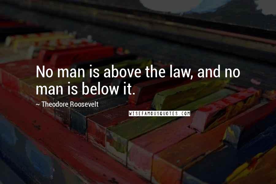 Theodore Roosevelt Quotes: No man is above the law, and no man is below it.