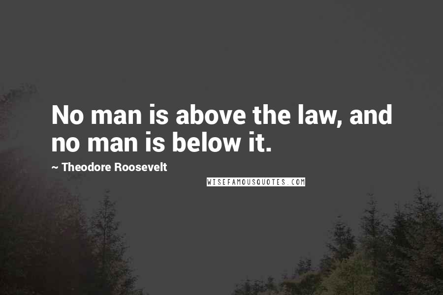 Theodore Roosevelt Quotes: No man is above the law, and no man is below it.