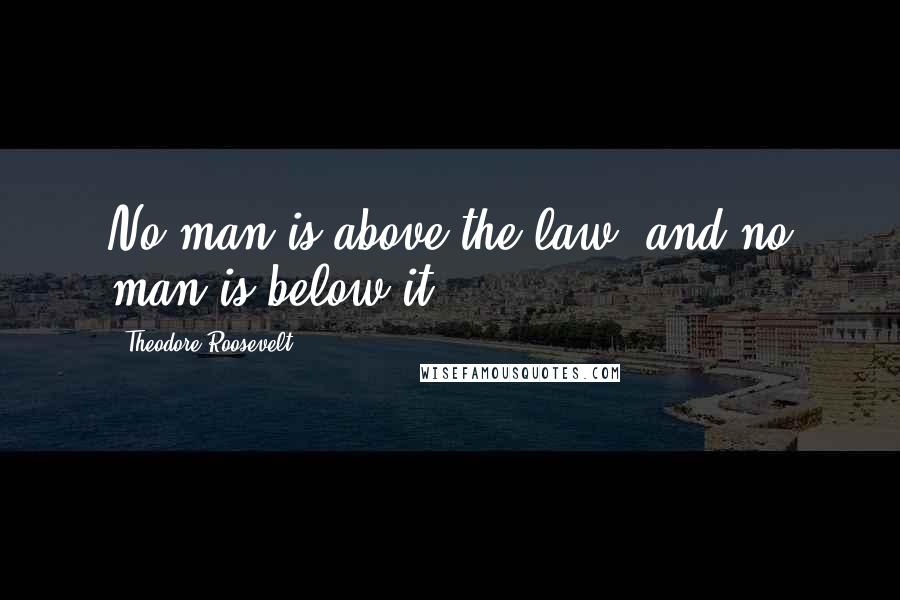Theodore Roosevelt Quotes: No man is above the law, and no man is below it.