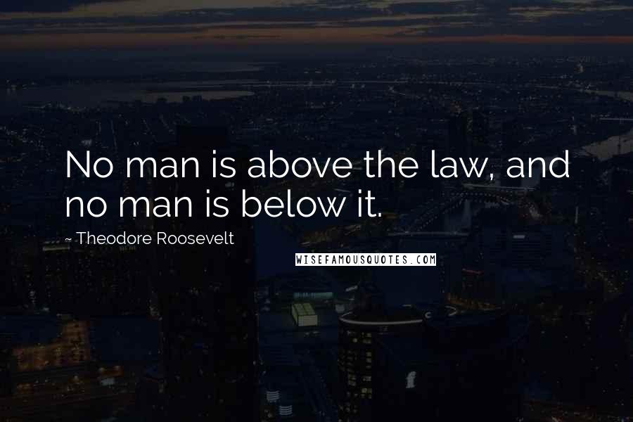 Theodore Roosevelt Quotes: No man is above the law, and no man is below it.