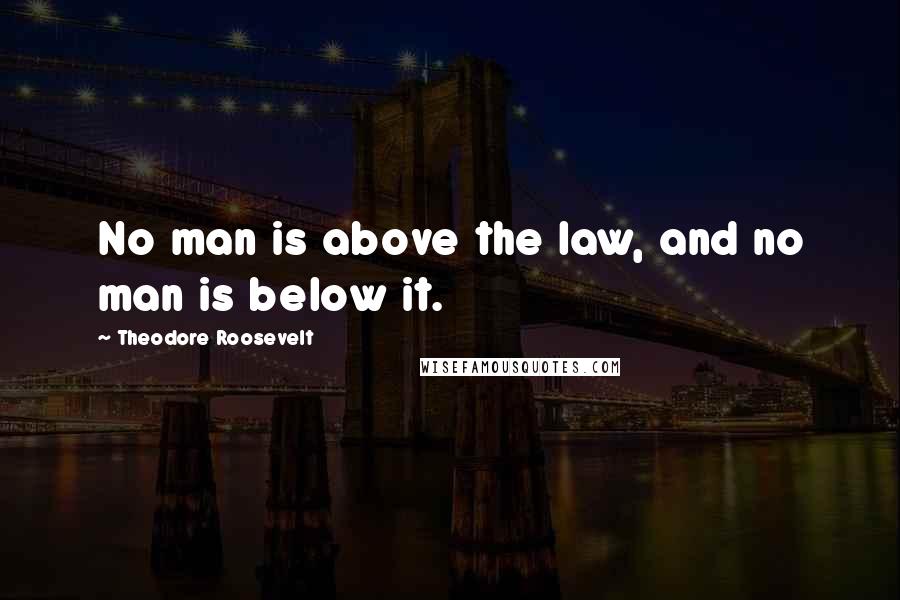 Theodore Roosevelt Quotes: No man is above the law, and no man is below it.