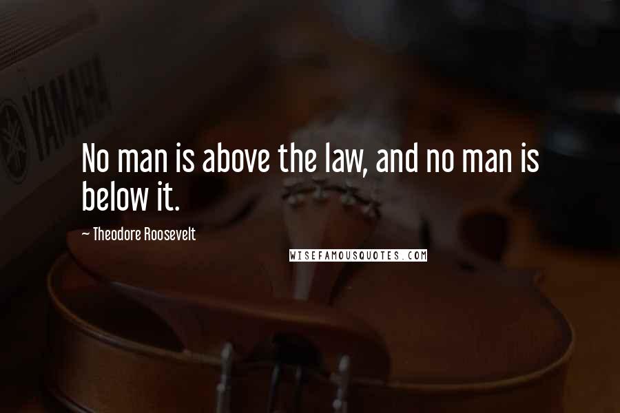 Theodore Roosevelt Quotes: No man is above the law, and no man is below it.