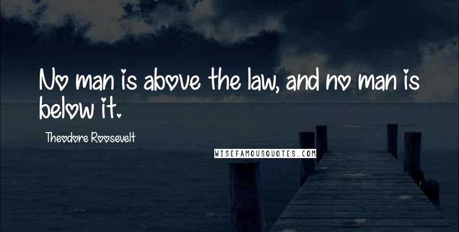 Theodore Roosevelt Quotes: No man is above the law, and no man is below it.