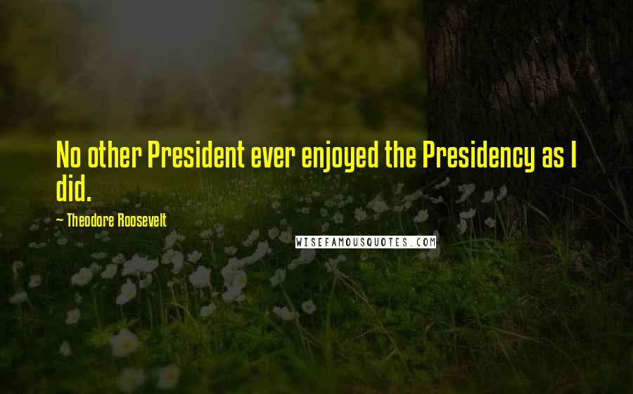 Theodore Roosevelt Quotes: No other President ever enjoyed the Presidency as I did.
