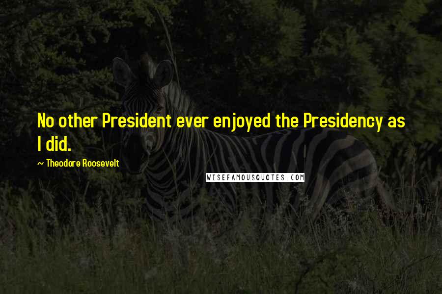 Theodore Roosevelt Quotes: No other President ever enjoyed the Presidency as I did.