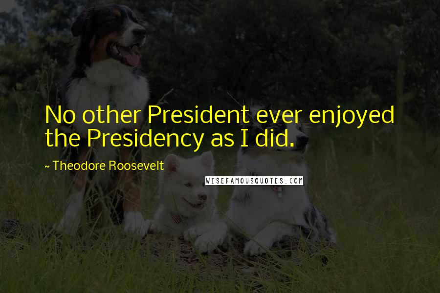 Theodore Roosevelt Quotes: No other President ever enjoyed the Presidency as I did.