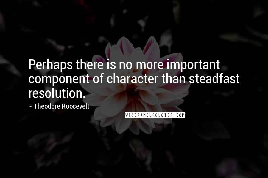 Theodore Roosevelt Quotes: Perhaps there is no more important component of character than steadfast resolution.