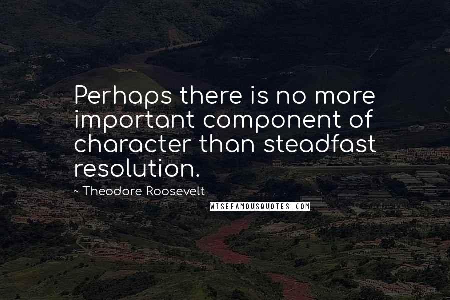 Theodore Roosevelt Quotes: Perhaps there is no more important component of character than steadfast resolution.