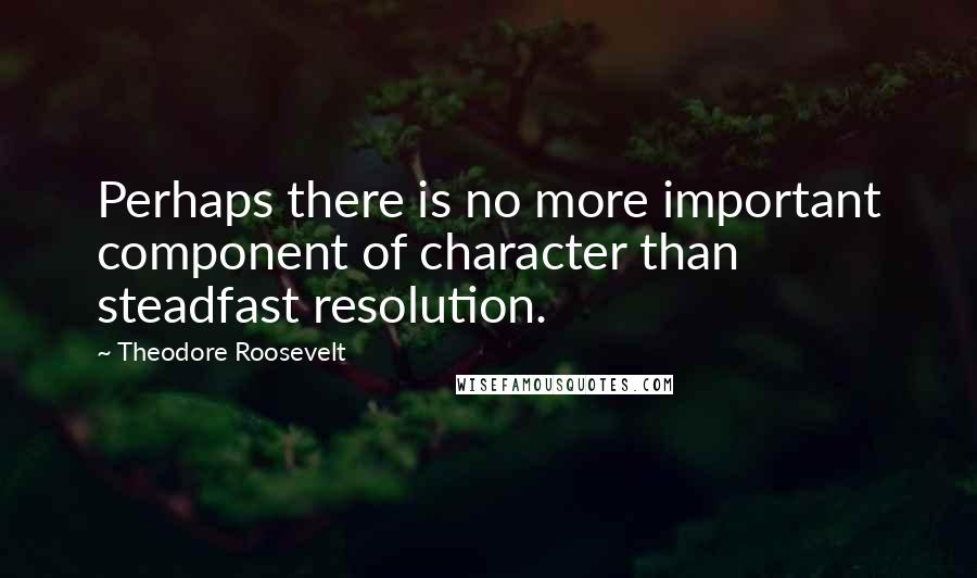 Theodore Roosevelt Quotes: Perhaps there is no more important component of character than steadfast resolution.