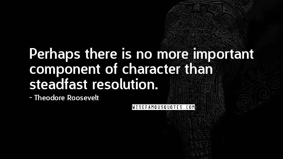 Theodore Roosevelt Quotes: Perhaps there is no more important component of character than steadfast resolution.