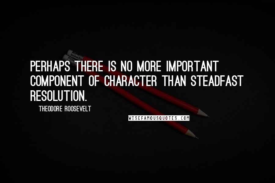 Theodore Roosevelt Quotes: Perhaps there is no more important component of character than steadfast resolution.