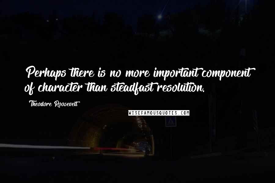 Theodore Roosevelt Quotes: Perhaps there is no more important component of character than steadfast resolution.