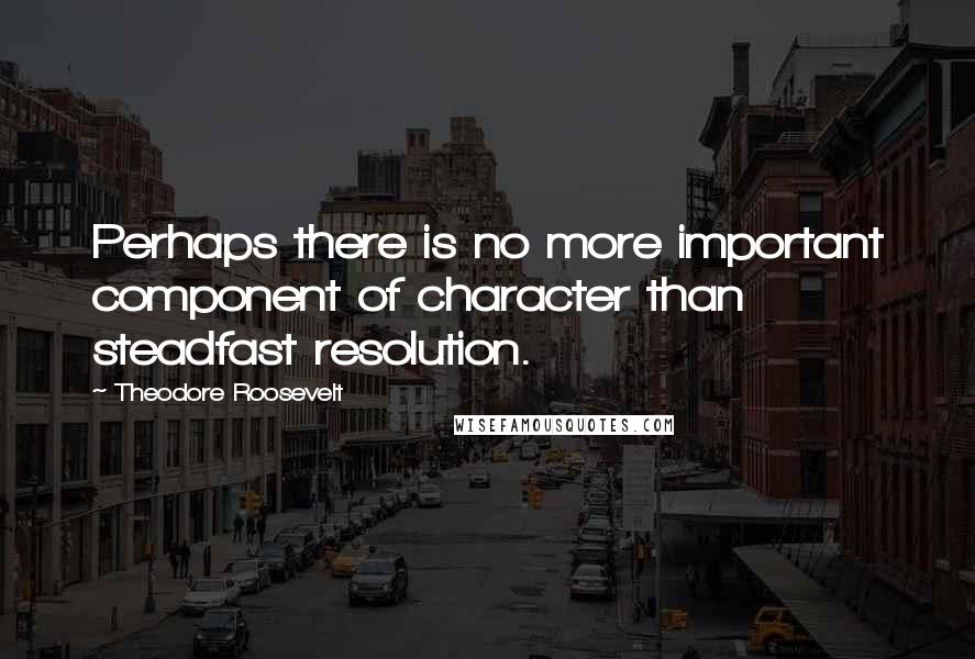 Theodore Roosevelt Quotes: Perhaps there is no more important component of character than steadfast resolution.