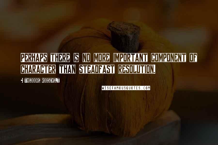 Theodore Roosevelt Quotes: Perhaps there is no more important component of character than steadfast resolution.