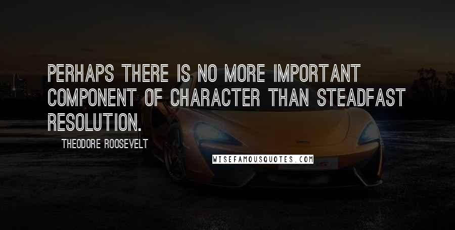 Theodore Roosevelt Quotes: Perhaps there is no more important component of character than steadfast resolution.