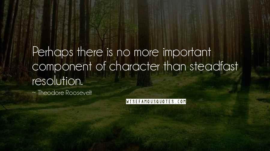 Theodore Roosevelt Quotes: Perhaps there is no more important component of character than steadfast resolution.