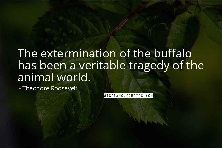 Theodore Roosevelt Quotes: The extermination of the buffalo has been a veritable tragedy of the animal world.