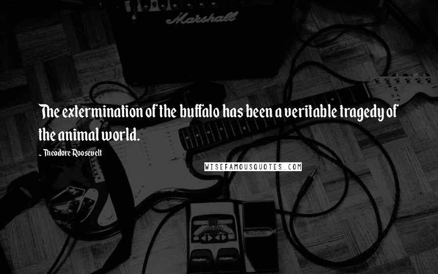 Theodore Roosevelt Quotes: The extermination of the buffalo has been a veritable tragedy of the animal world.