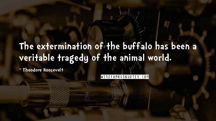 Theodore Roosevelt Quotes: The extermination of the buffalo has been a veritable tragedy of the animal world.