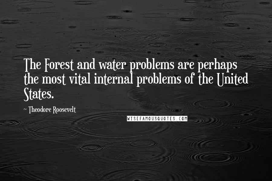 Theodore Roosevelt Quotes: The Forest and water problems are perhaps the most vital internal problems of the United States.